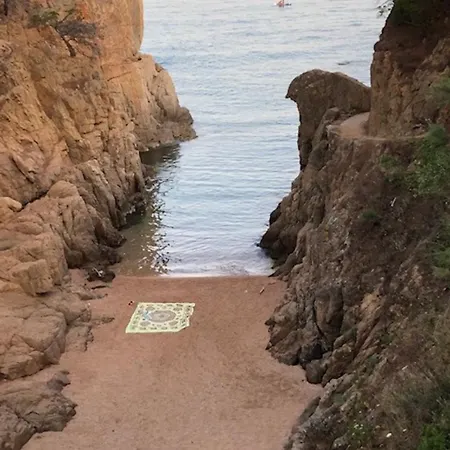 A Rosamar * 卡内·德·玛尔