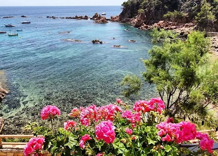 A Rosamar Canet De Mar